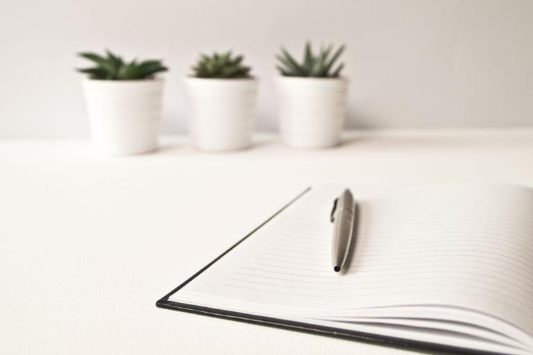Book with a pen on top with 3 small pot plants in the background